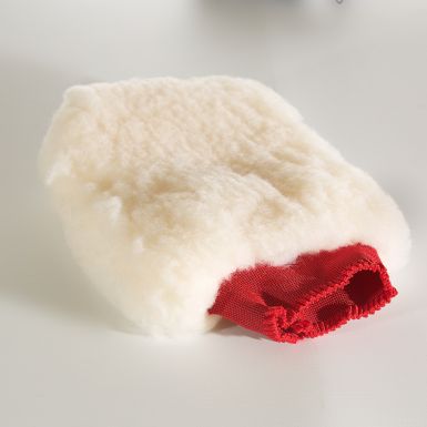 Wash Mitt