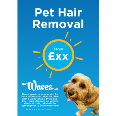Pet Hair Removal